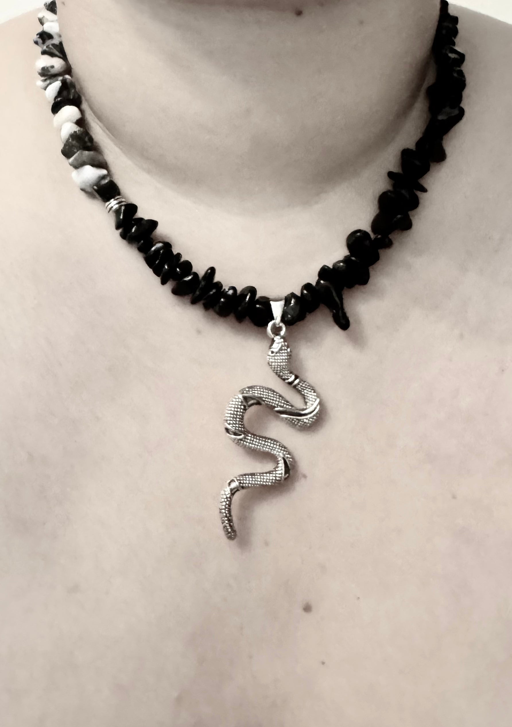 The snake